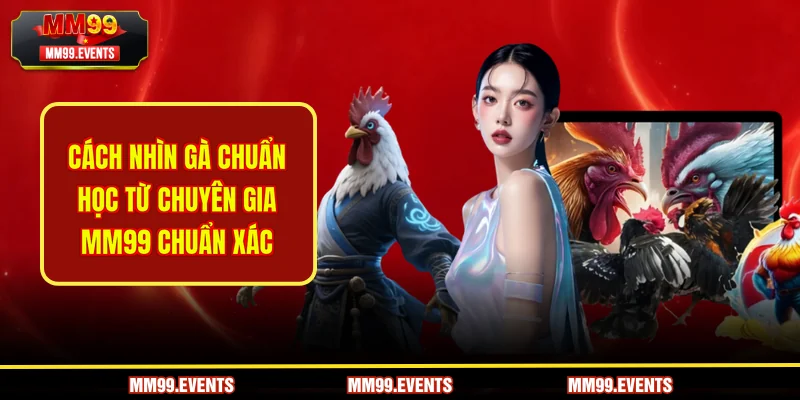 cách nhìn gà chuẩn từ chuyên gia