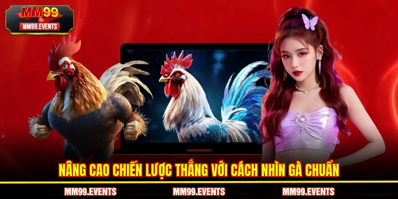 Nâng cao chiến lược Cách nhìn gà chuẩn từ chuyên gia