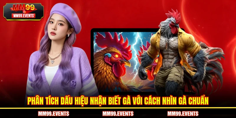 Dấu hiệu Cách nhìn gà chuẩn từ chuyên gia