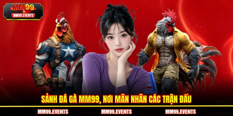 Sảnh Đá gà MM99, nơi mãn nhãn các trận đấu.