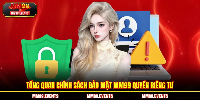 Tổng quan chính sách bảo mật quyền riêng tư